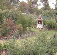 The Mythic Mazes - Accommodation Port Hedland