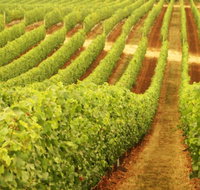 MadFish Wines Denmark - Accommodation Port Hedland