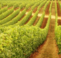 Cullen Wines - Accommodation Port Hedland