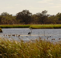 Anytime Adventures in Mandurah  the Peel Region - Accommodation Port Hedland