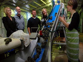 Eyre Peninsula's Seafood Trail - Accommodation Port Hedland 0