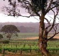 Yangarra Estate Vineyard - Accommodation Port Hedland