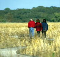 Onkaparinga River Recreation Park - Accommodation Port Hedland