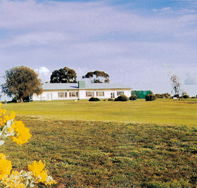Lucindale Country Club - Accommodation Port Hedland