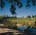 Mount Hurtle Winery home of Geoff Merrill Wines - Accommodation Port Hedland