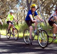 Penola Cycling Trails - Accommodation Port Hedland