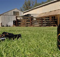 Wilkadene Woolshed Brewery - Accommodation Port Hedland