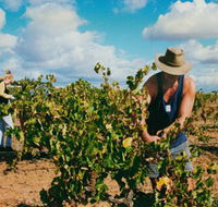 Torbreck Vintners - Accommodation Port Hedland