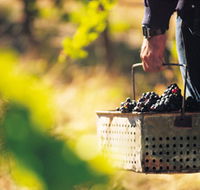 Burge Family Winemakers - Accommodation Port Hedland