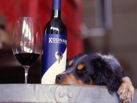 Koonara Wines - Accommodation Port Hedland 0