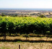 Braydun Hill Vineyard - Accommodation Port Hedland