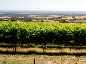 Braydun Hill Vineyard - Accommodation Port Hedland 0