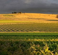 Kellermeister Wines - Accommodation Port Hedland