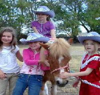 Amberainbow Pony Rides - Accommodation Port Hedland