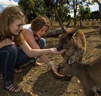 Kangaroo Island Wildlife Park - Accommodation Port Hedland