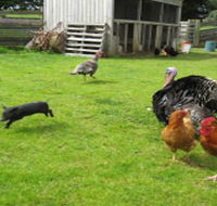 Echo Farm - Accommodation Port Hedland