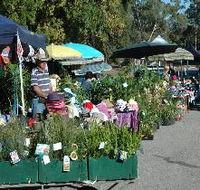 Meadows Monthly Market - Accommodation Port Hedland