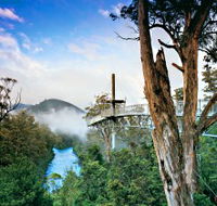 Tahune Adventures Tasmania - Accommodation Port Hedland