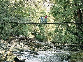 Arve Forest Drive - Accommodation Port Hedland 0