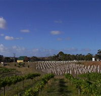 Deep Creek Wines and Alpacas - Accommodation Port Hedland