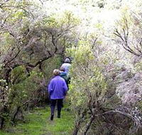 Jack And Hilda McArthur Walk - Accommodation Port Hedland