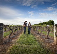 Coonawarra Wineries Walking Trail - Accommodation Port Hedland