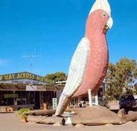 The Big Galah - Accommodation Port Hedland