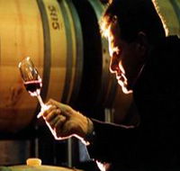 Salena Estate Wines - Accommodation Port Hedland