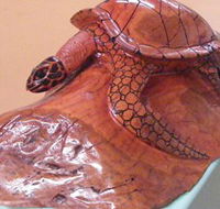 Ants Redgum Gallery - Accommodation Port Hedland