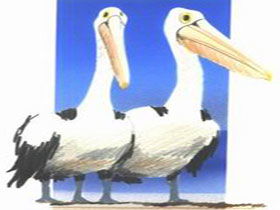 Bay Of Shoals Wines - Accommodation Port Hedland 0