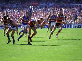 AAMI Stadium Tours - Accommodation Port Hedland 0