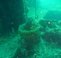 Wallaroo Scuba Club - Accommodation Port Hedland