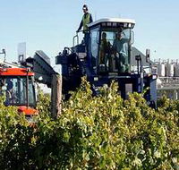 Ballast Stone Estate Wines Pty Ltd - Accommodation Port Hedland