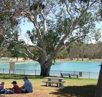 Naracoorte Nature Park and Swimming Lake - Accommodation Port Hedland