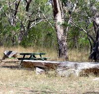 Penola Conservation Park - Accommodation Port Hedland