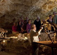Naracoorte Caves National Park - Accommodation Port Hedland