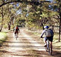 Bike About Mountain Bike Tours And Hire - Accommodation Port Hedland