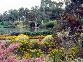 Wittunga Botanic Garden - Accommodation Port Hedland 0