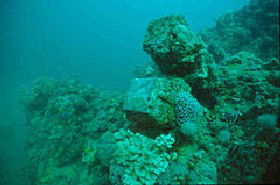Adelaide's Underwater Heritage Trail - Accommodation Port Hedland 0