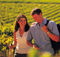 Lady Bay Vineyard - Accommodation Port Hedland
