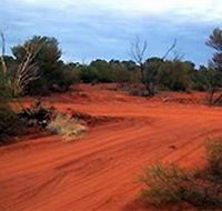 Tallaringa Conservation Park - Accommodation Port Hedland