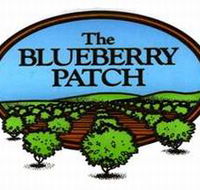 The Blueberry Patch - Accommodation Port Hedland