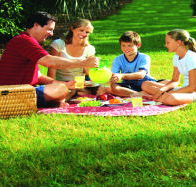 Bruny Island Berry Farm - Accommodation Port Hedland
