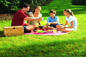 Bruny Island Berry Farm - Accommodation Port Hedland 0