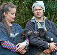 devilscradle - Accommodation Port Hedland