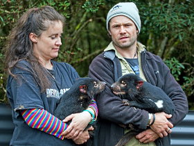 Devils@cradle - Accommodation Port Hedland 0