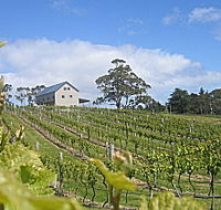Bruny Island Premium Wines Bar and Grill - Accommodation Port Hedland