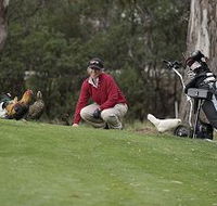 Tasmania Golf Club - The - Accommodation Port Hedland