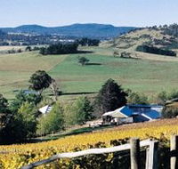 Freycinet Vineyards Pty Ltd - Accommodation Port Hedland