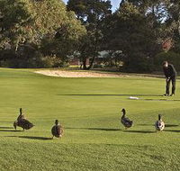 Royal Hobart Golf Club - Accommodation Port Hedland